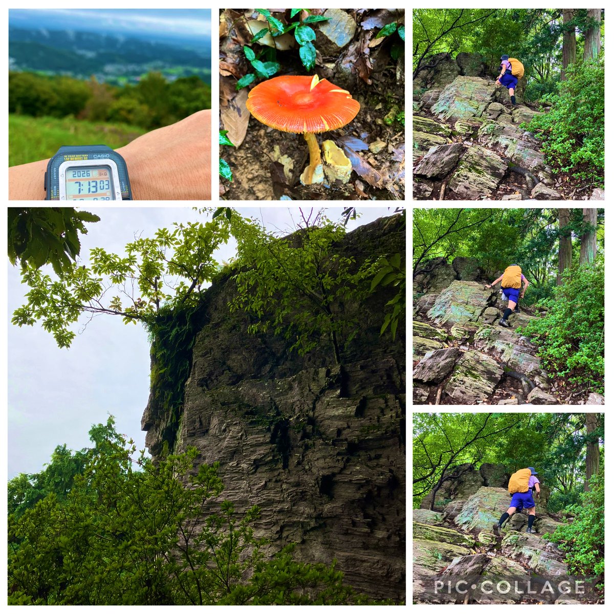 Nikusatomi's tweet photo. おはよう⛰️ 8/29 ときがわ町の弓立山⛰️標高約427m低山ながら、魅力ある⛰️で毎月山行🤗登山口最初の急階段💦根っこが張り出す中盤急登💦中腹にある迫力ある男鹿岩🪨岩場を超えて登って見えますが😳脇に平坦な巻道で通過🉑山頂には展望デッキ🔭バイオ🚾があり、のんびり安心して☕️飲める居心地良きお山💕 https://t.co/1aJTSvJHiM