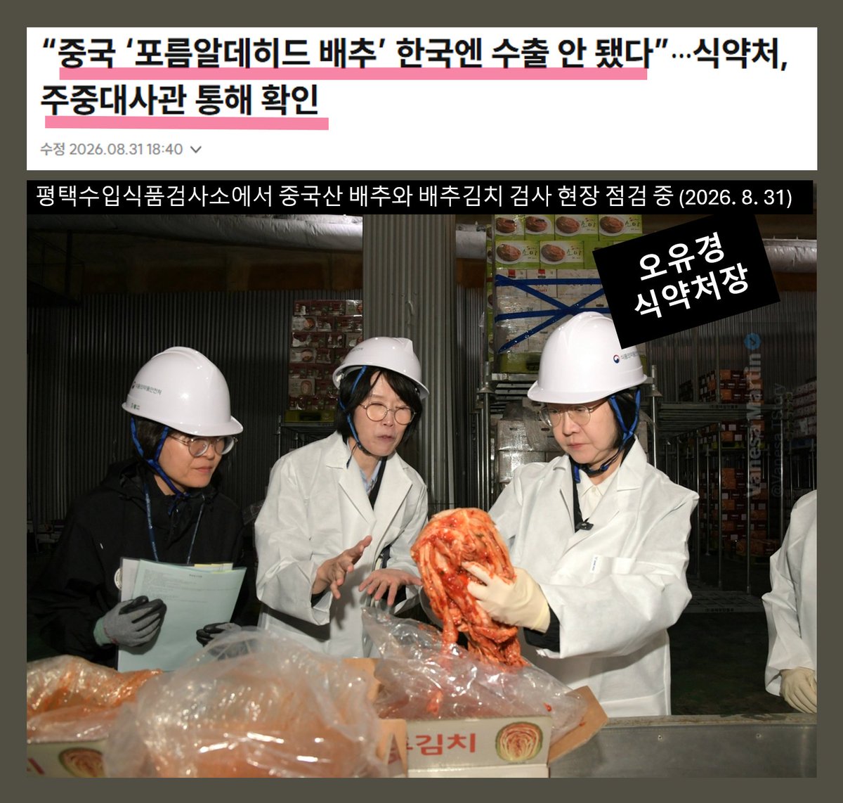 Vanesa_TStory's tweet photo. 김치의 주 재료인 배추 상태를 중국에 있는 한국 대사관에서 보낸 공문 하나로 안전성 확인했다는 식약처의 최첨단 검증 시스템이 경악스럽다.

주중한국대사관 직원이 중국의 현지 배추 원산지에 가서 조사한것도 아니다. 배추 산지에 물어봤더니 약품 안썼다고 했단다. 그 과정에 대한 상세한 기사 내용은 없고, 주로 한국에서 검사했다는 쓸데없는 내용만 있다. 

식약처가 검사했다는 배추는; 
- 이미 한국에 수입된 중국산 배추
- 한국 제조업소별 배추김치와 절임배추
- 이미 한국에 들여와 통관 과정에서 검사한 중국산 배추와 배추김치
등인데, 거기서 포름알데히드가 검출되지 않았다는거다. 

국내 유통중인 중국산 배추김치와 배추, 절임배추를 수거해서 검사했다는데, 발효식품인 김치에서 포름알데히드가 검출될 수 있는거냐? 유통된지 30일 지나도 검출되냐?

주한미국대사관은 신안염전을 직접 현지에 가서 조사했다. 문건으로 작성해서 무역협상의 증거로 사용했다. 

그 사건을 보고도 한국은 아직도 배운게 없다. 
무조건 잘못없다는 조폭스러운 배째라 대응뿐이었다. 
이렇게 수준차이가 나는데 한국이 어떻게 미국의 무역 파트너, 동맹국이 되겠냐. 객관적으로 수준이 비슷해야 상호 도움이 되는거 아니겠냐. 

한국음식 '김치'의 주재료 '배추'에 문제가 있다면 한국정부에서 중국의 배추 산지로 현지 조사단을 파견해야 맞는거다.

현지 조사를 하고 배추 수확에서부터 공정 단계, 위생 상태는 물론 시스템 전체를 점검하고, 보고서 작성해서 제대로 대응해야 하는거다. 중국산지에서 안했다면 안한거냐?...뭐..그것도 팩스로 받았냐? 

중국에 가지도 못하고 문서로 전달받은 식품 안전성을 누가 믿겠냐. 식약처장이라는게 기사 사진 촬영용으로 배추김치를 저렇게 주체를 못하고 꼬롬한 표정으로 주물럭 거리는걸 보니 밥맛 떨어진다. 

그렇게 안전하면 식약오씨 니네 집구석에서나 처잡솨라. 
나는 안.먹.겠.다.