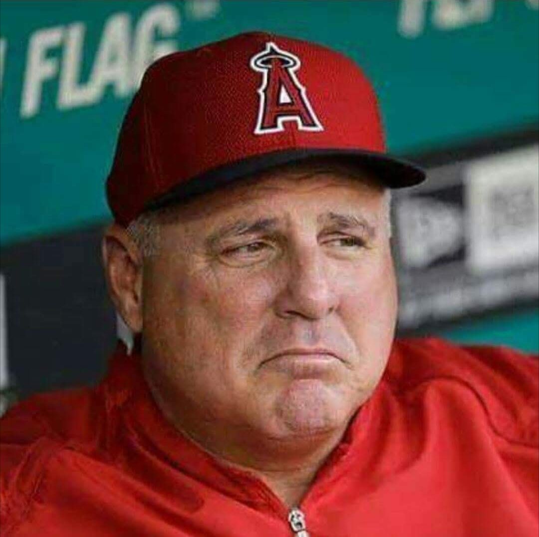 samdelira13's tweet photo. @Angels So happy https://t.co/qBiLy4f5Ox