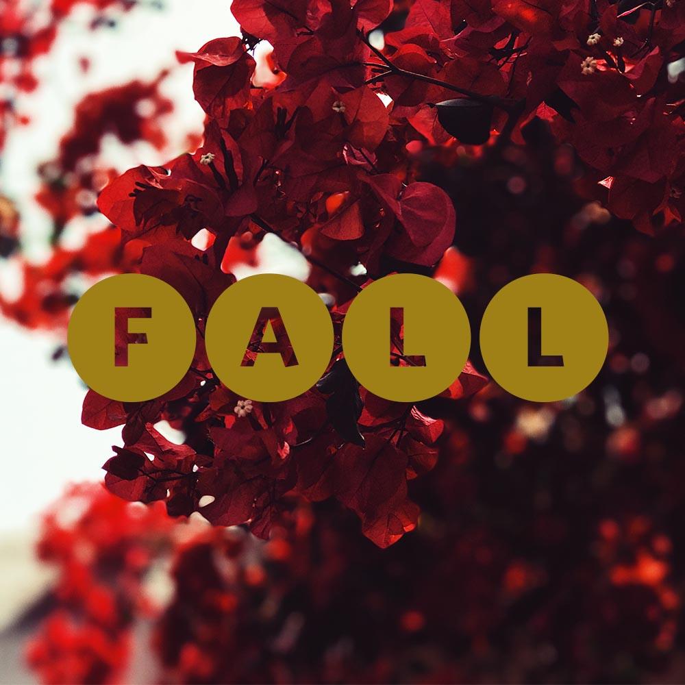 paulsaperstein's tweet photo. Enjoy the rich colors of the upcoming season! Happy fall, everyone!
Don't Make A Move Without Me! https://t.co/SlSCBqpQQX