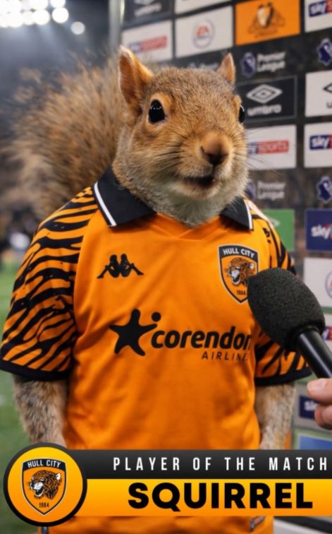 God_and_hcafc's tweet photo. hearing from sources close to the club that the resident squirrel has extended its contract with #hcafc https://t.co/XOoJEO5KdB