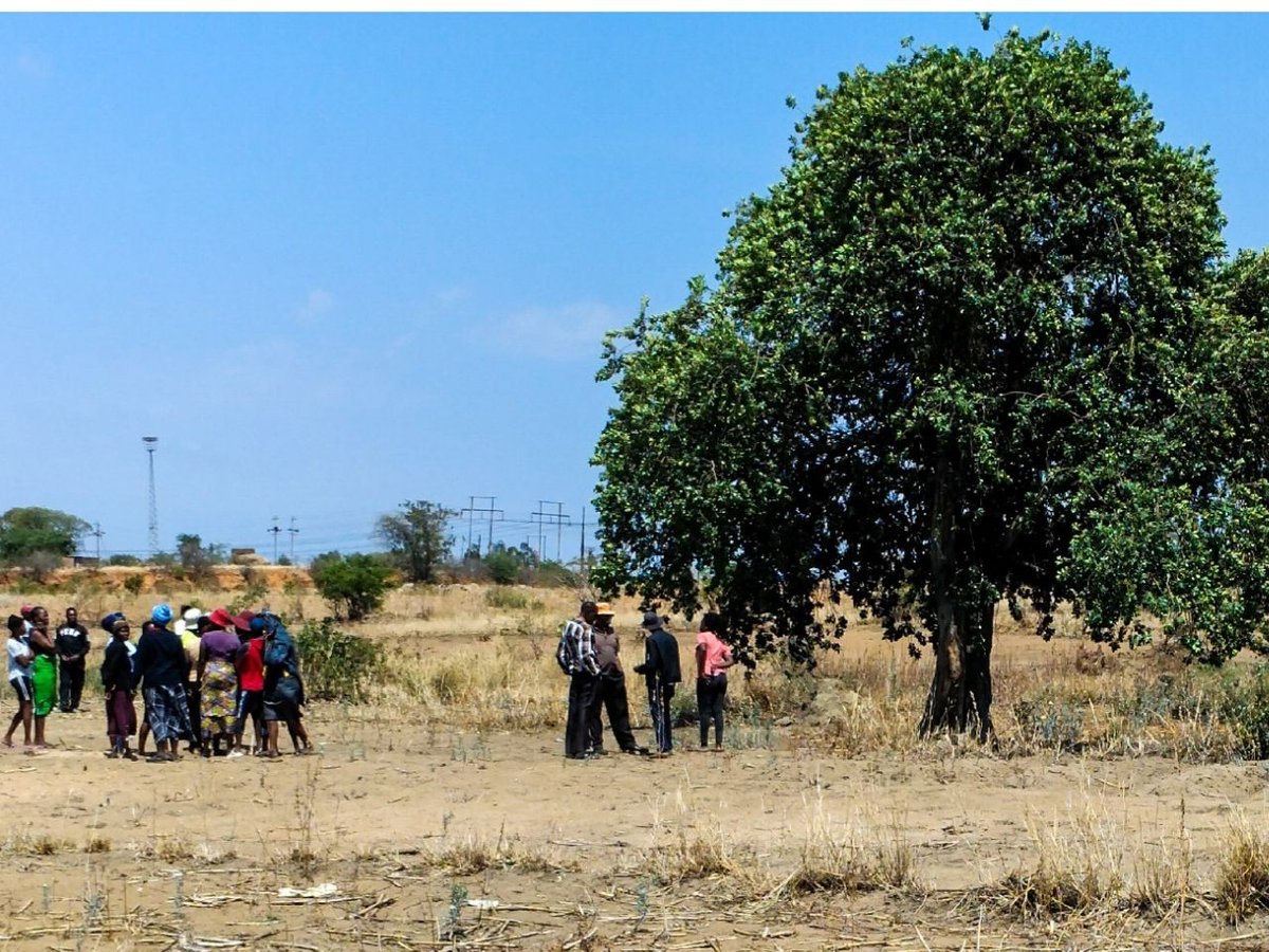 ChronicleZim's tweet photo. SUICIDE continues to be a major public health concern in Zimbabwe and across the world.
https://t.co/pFazGkQi6R https://t.co/Hp8dAjZy0A