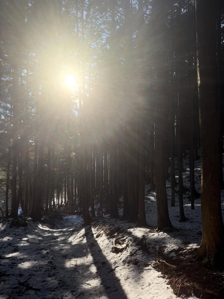 261Kikin's tweet photo. Basho: Winter Solitude. In a landscape of a single shade, only the wind is heard. https://t.co/obqSLSPOxi