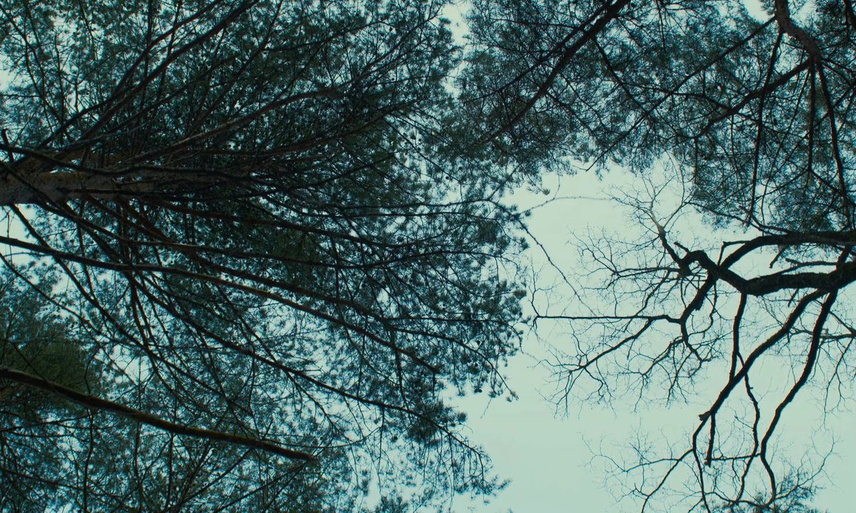 juandibidi's tweet photo. Evil Does Not Exist (2023)
dir. Ryusuke Hamaguchi
1080p BluRay
multi subs

https://t.co/9nkLJRqpeS https://t.co/EjZVBT7RaH