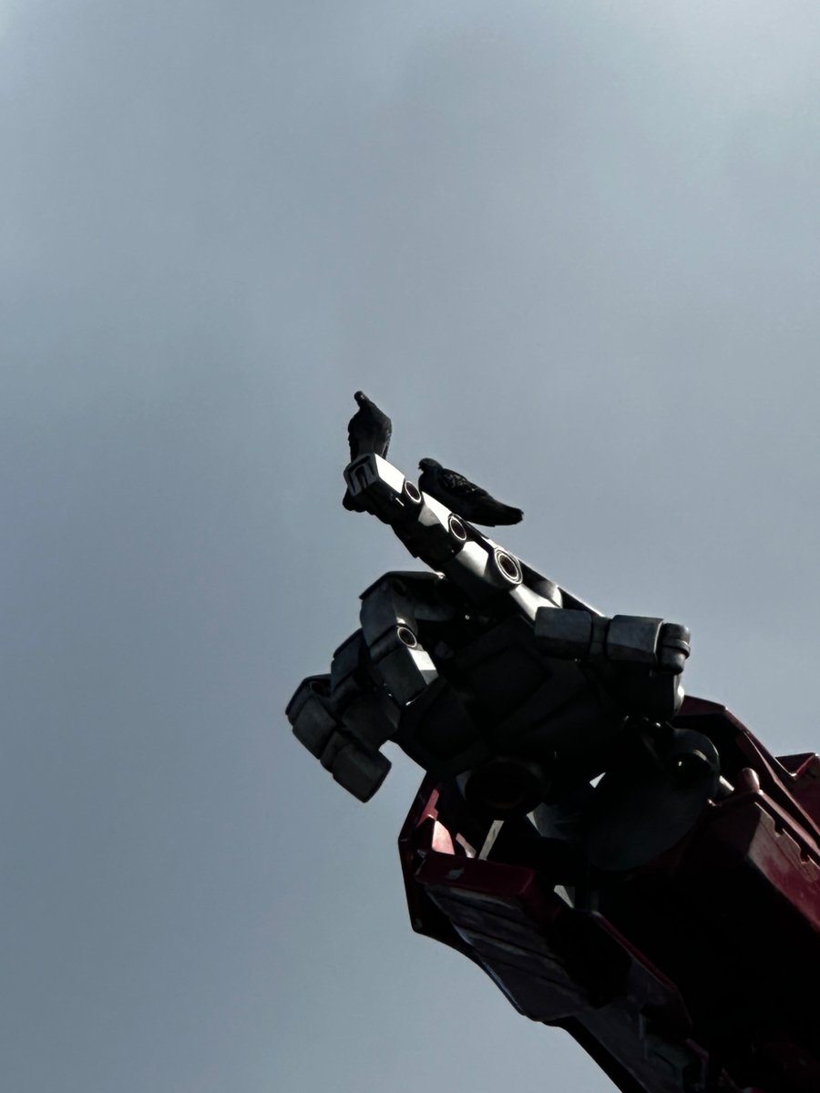 deddufishu's tweet photo. I just remembered I never posted my favorite photo(s) from universal :3c
Optimus with the cutie pidgeons 🩷🩷🩷🩷🩷🩷🩷🩷🩷🩷🩷🩷 https://t.co/3XsxBVP0qj