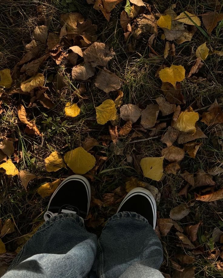 meadowseal's tweet photo. September 

Vibe
Hobby
Outfit 
Cozy https://t.co/1IHJeQsm2y