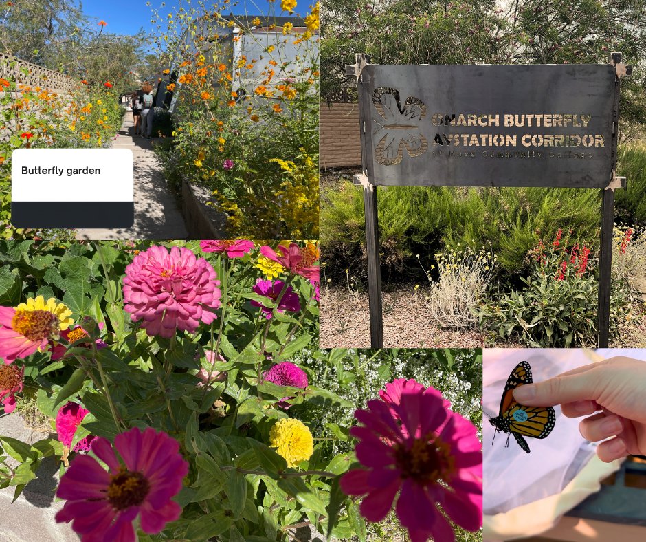 mesacc's tweet photo. We asked our Thunderbirds: What places on campus should new students explore? Here’s what you said: https://t.co/3aLI03owUt