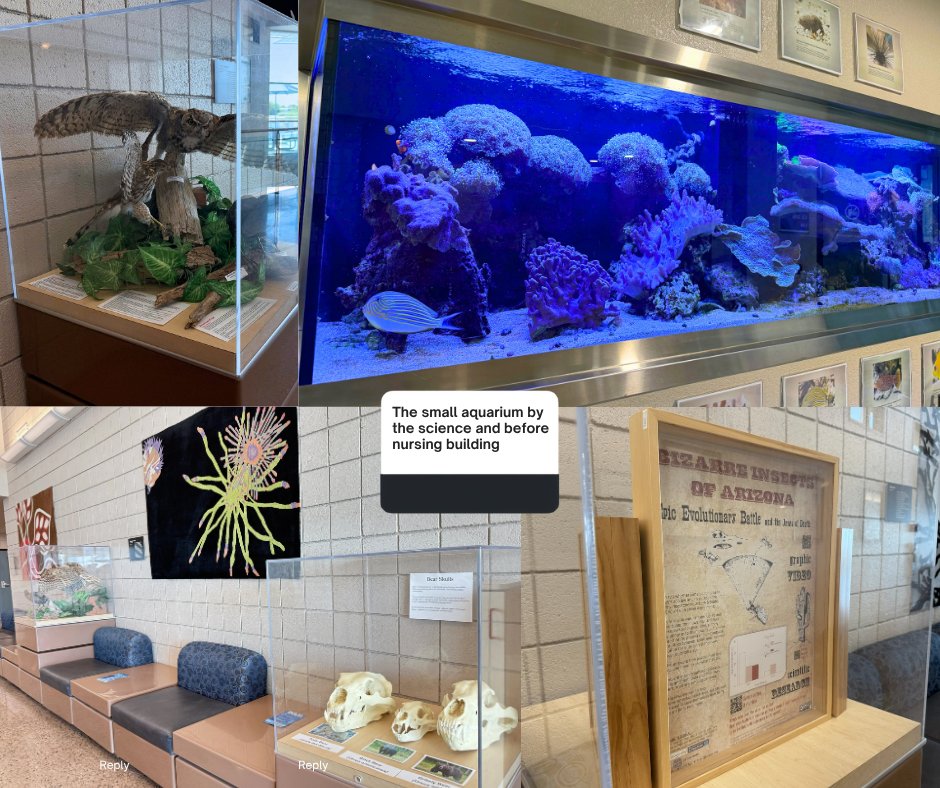 mesacc's tweet photo. We asked our Thunderbirds: What places on campus should new students explore? Here’s what you said: https://t.co/3aLI03owUt