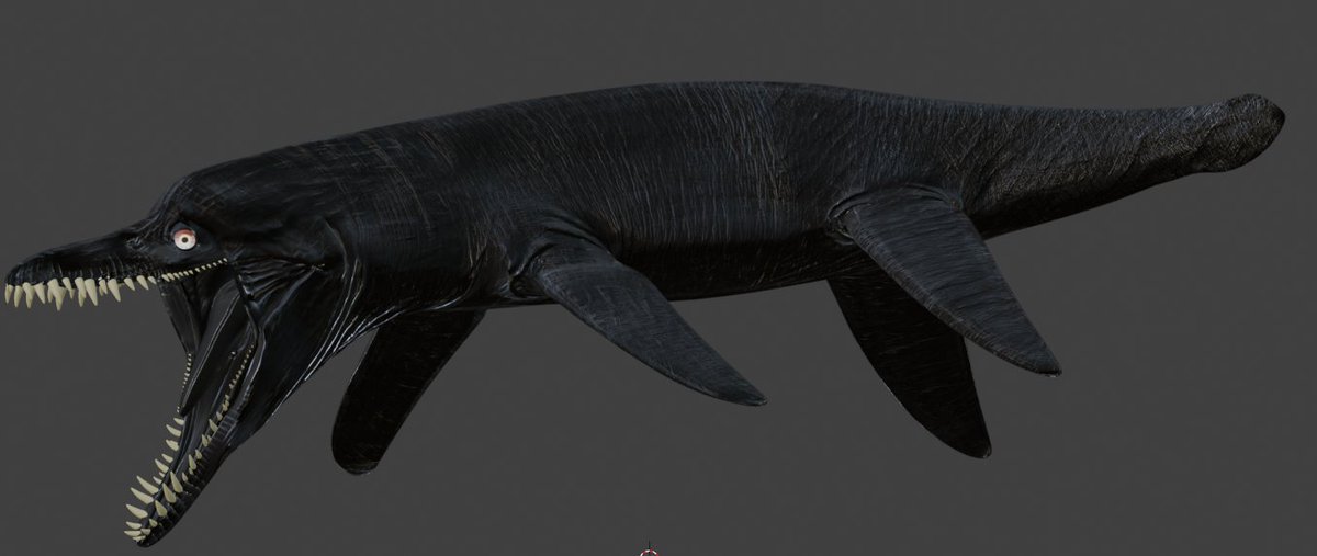 Ender_2907's tweet photo. Pliosaurus rossicus was a species of pliosaur that lived in the waters of what are now England, Russia, and Japan. This species had a notably taller skull and longer teeth than some other pliosaurs. his powerful bite would have allowed Pliosaurus rossicus to grip the prey firmly https://t.co/z0WP1RDJXM