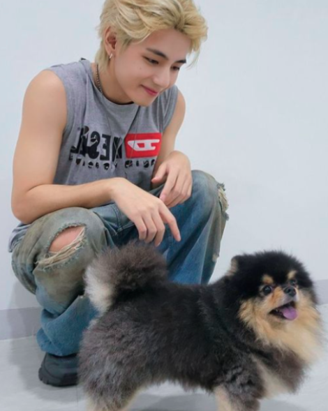 AboutMusicYT's tweet photo. 3 years ago today, Taehyung's dog, Yeontan, made his debut stage. https://t.co/ifJsNFcYAO
