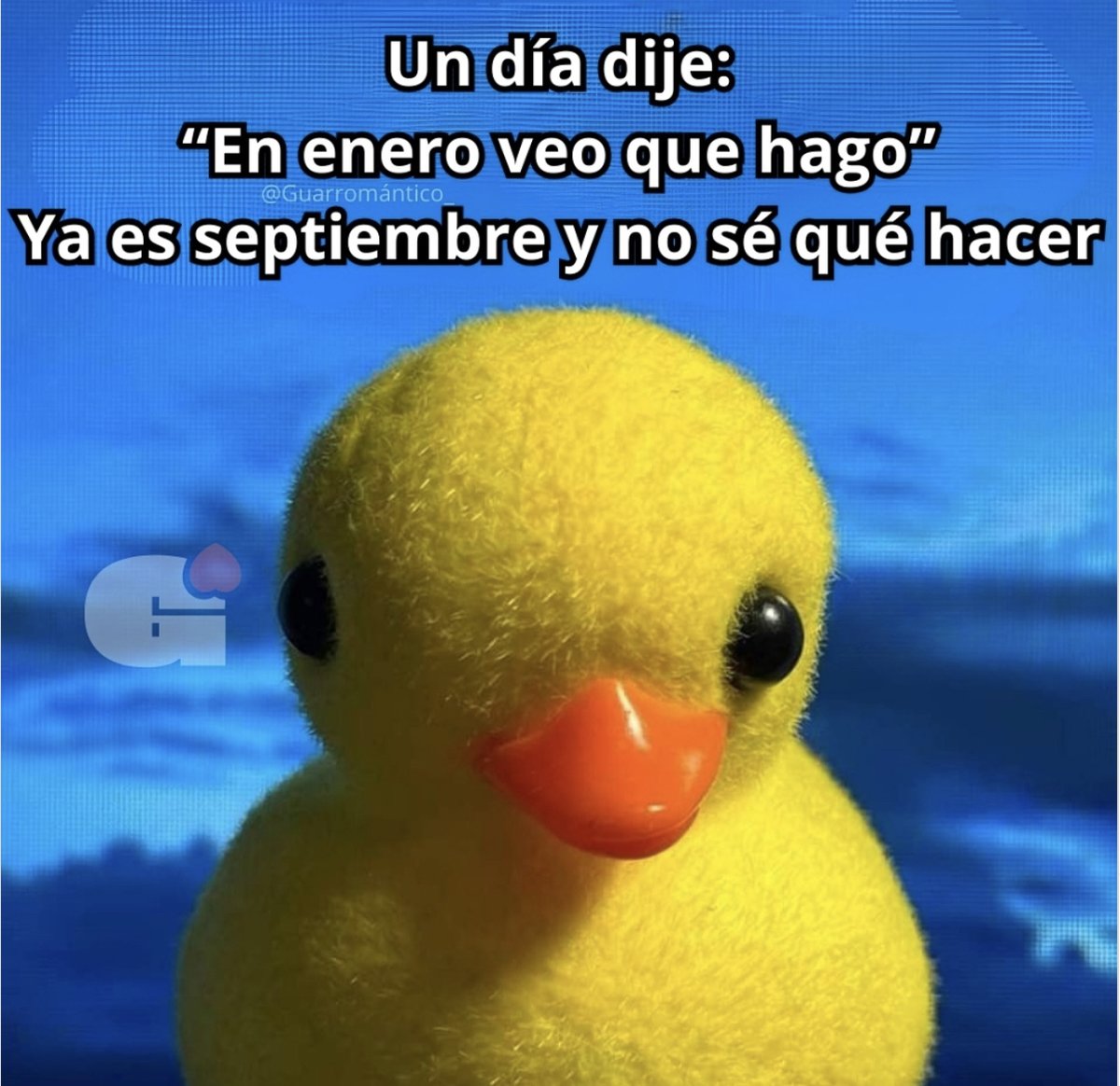 Guarromantico_'s tweet photo. Así andamos. https://t.co/NzWqL9CWkm