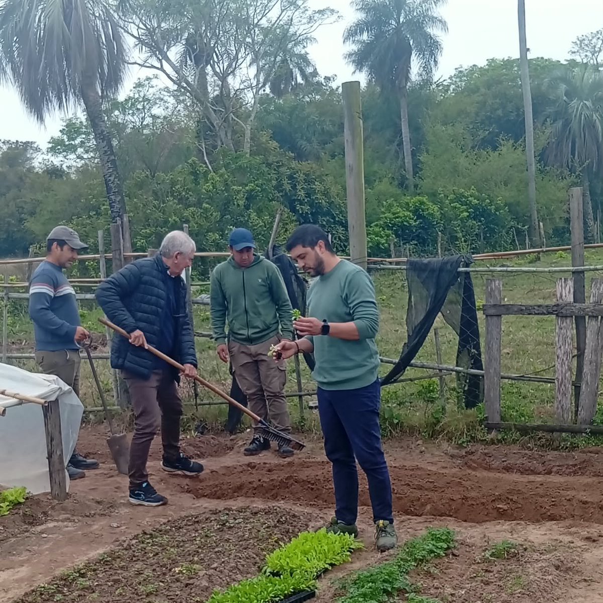 munidesaladas's tweet photo. 🌱 Seguimos sembrando en nuestras escuelas

Hoy llegamos al Colegio Secundario de Colonia Cabral con el programa de Huertas Escolares, impulsando la producción, la educación y el trabajo en comunidad.

🥕 Aprender haciendo, producir y compartir. Seguimos adelante. https://t.co/tNBtOXef64
