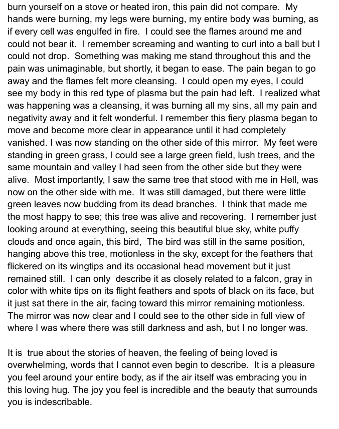 PAW3141's tweet photo. My near death experience, Part 4 - 7 https://t.co/wHHQG0V6oC