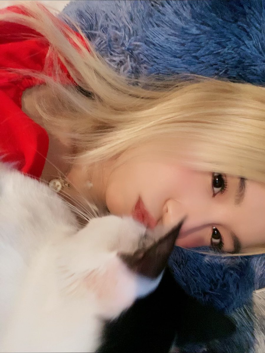majogamm's tweet photo. te extraño tanto mi niño precioso igual que el primer dia sin ti :( https://t.co/gBjGNKtfyG