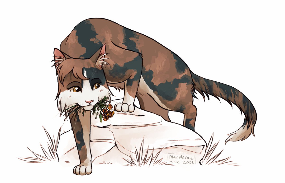 marblerose_rue's tweet photo. spottedleaf #warriorcats https://t.co/6RynUJt325