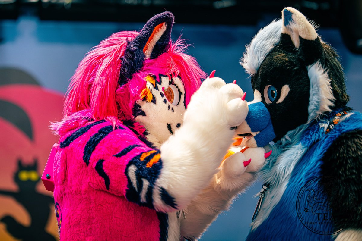 Lunar_Howl_'s tweet photo. Had a LOT OF FUN at the East-Fursuitgames
#GranHermanoGeneraciónDorada #Jam8MalamShopeeBeli2Gratis1 #LaSayonaNoVolverá #1września1939 #Panamá #1września #furry #furr #furryart #Fursuiteverday #fyp #fypシ゚viralシfypシ゚ #viral #trending https://t.co/048u5Jl4fl