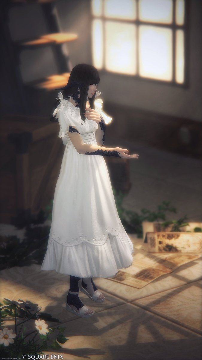 ArArmiss_ff14's tweet photo. ใใฏใใใใใใพใ๏ผ
๐*หธ๊ค*หธ*โใ
St๏ธฐ#ST_SOGNO
#ใใฏใฆใฉ #FF14SS https://t.co/MCbnoYW7P4