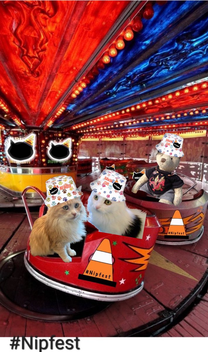 38Octavian's tweet photo. @Biscuit_Meow Biccy Iโm so glad youโve chosen to show your #Nipfest memories 2023 was our first. We were encouraged to join in by Peyton Reads. We took Kekoa with us & Niรฑo @KKC225 helped us a lot. I was nervous but Holly @holly_pickle1 looked after us newbies so well ~ Phoebe & Teddy Henri https://t.co/EsCogZAfto