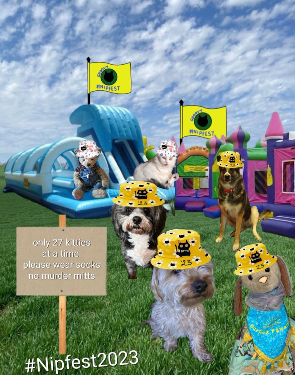 38Octavian's tweet photo. @Biscuit_Meow Biccy Iโm so glad youโve chosen to show your #Nipfest memories 2023 was our first. We were encouraged to join in by Peyton Reads. We took Kekoa with us & Niรฑo @KKC225 helped us a lot. I was nervous but Holly @holly_pickle1 looked after us newbies so well ~ Phoebe & Teddy Henri https://t.co/EsCogZAfto
