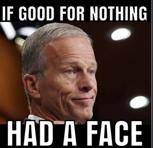 Jaakar74's tweet photo. @LeaderJohnThune Hey RINO Thune, 
Your priority should be the SAVE AMERICA ACT.
But it isn't, because you are a worthless RINO piece of shit! https://t.co/0AJZgXA7ag