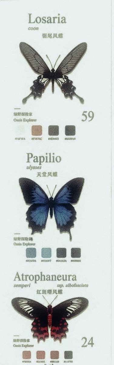YUTAYAMl's tweet photo. ᅠᅠᅠᅠ

ᅠᅠ
                              ཐི༏ཋྀ
           𝑦𝔲𝔱𝔞'𝔰 .ᐟ se  vi  va  di  fare 
           amicizia  mettete  like  ed 
           apparirò  nei   vostri    dm
           assegnandovi una farfalla https://t.co/aaj0PfQmi2