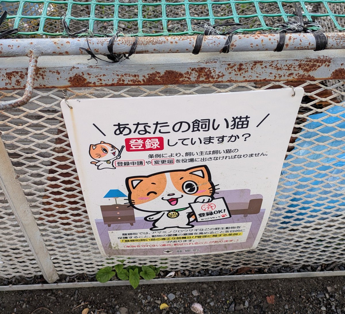 komakom07689656's tweet photo. 私の地域ではゴミステーションの側面や上部に貼られてます。必ず目に入る。雨風、紫外線、色んな理由で劣化しても、新しいのと交換されてるよ。 https://t.co/7zYyN3yaFo