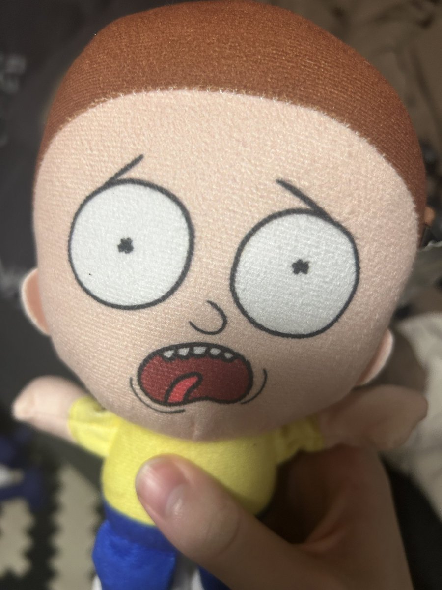 imbiscuitboy's tweet photo. Morty of eternal agony https://t.co/bq5vvrL6ii