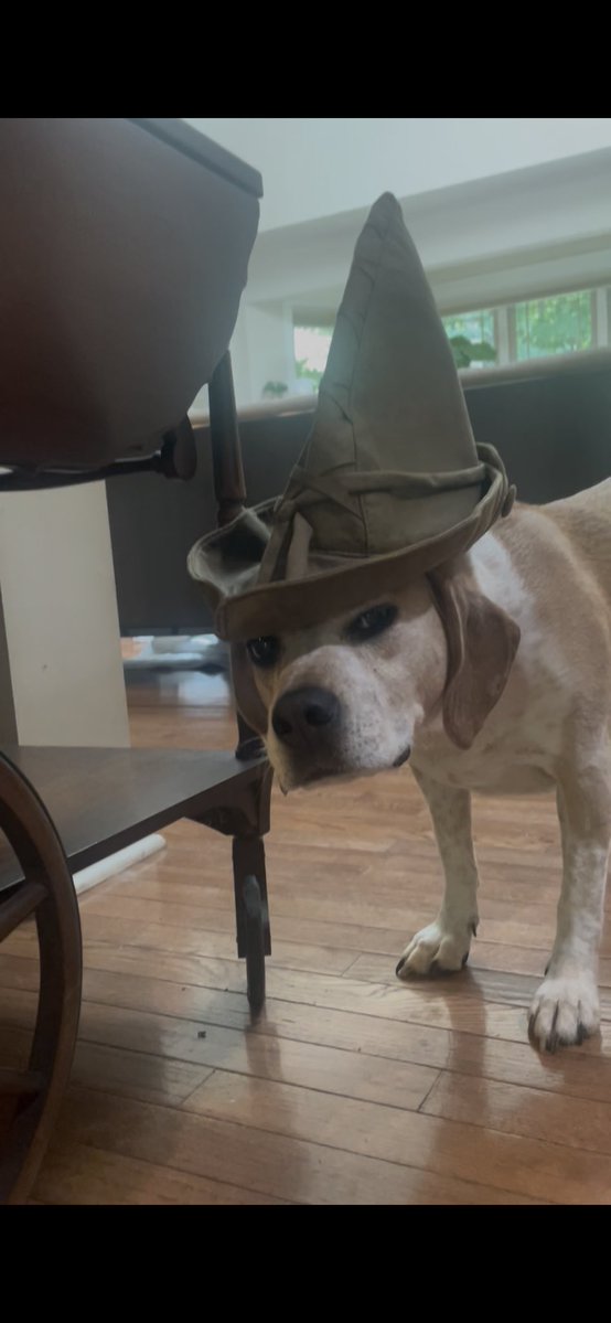 Torine3D's tweet photo. Izzie has a quest for you https://t.co/U8L6h5W9SF