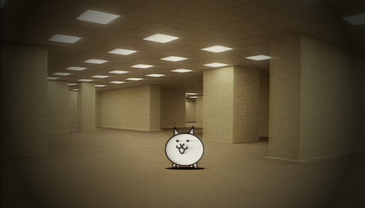 BasicCat_1's tweet photo. https://t.co/aMKaQ9MEhH