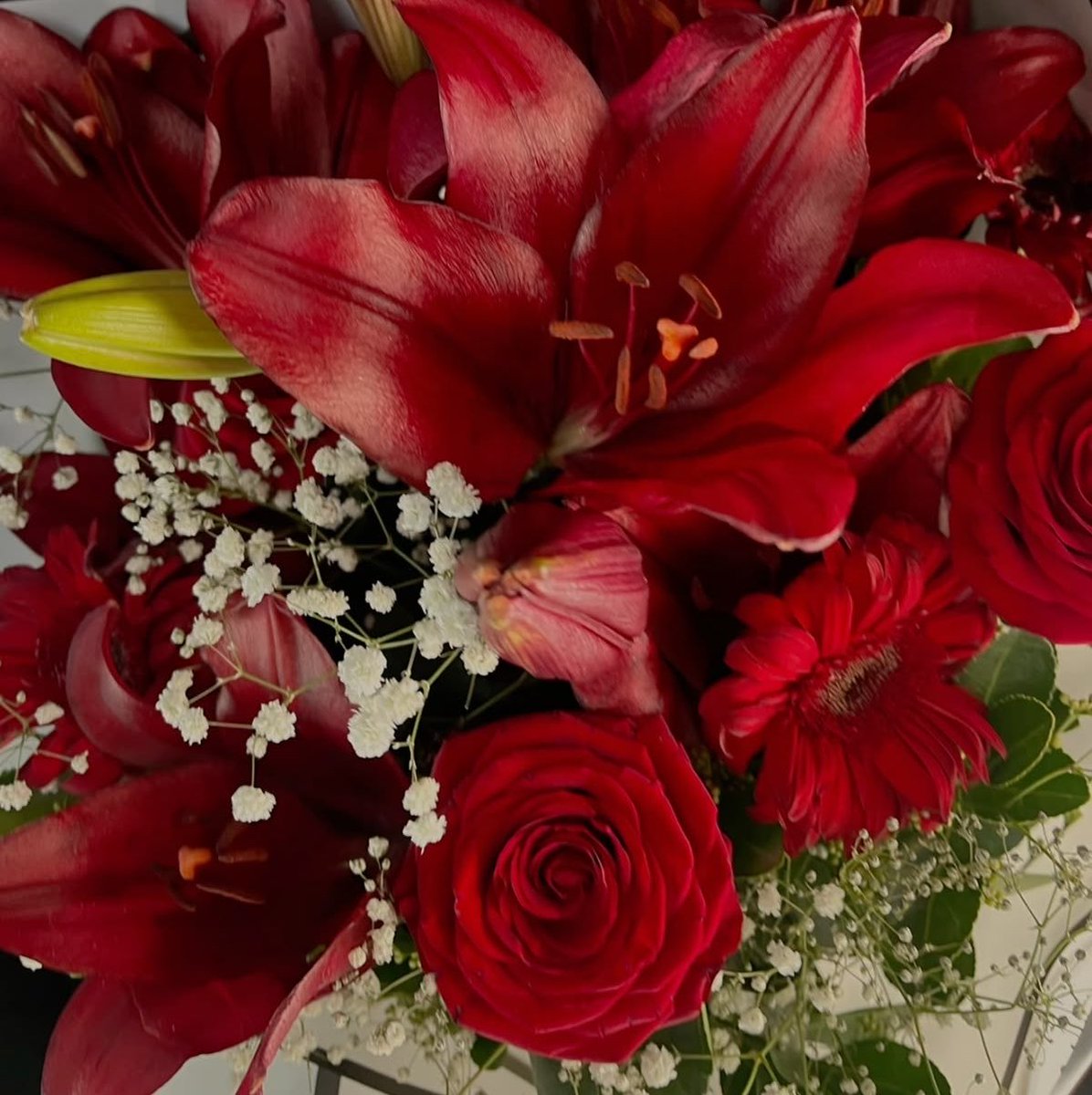 PRFCTFLOWERS's tweet photo. 💐: @petaltalkin 
💌: one of the few people who make me want to log into this god forsaken app, i love u and our oomfship and friendly bond, wishing you many good days and for you to get everything you want in this life 🫶🏽🫶🏽🫶🏽 - @westsidebrina https://t.co/tfaF1VAh8t