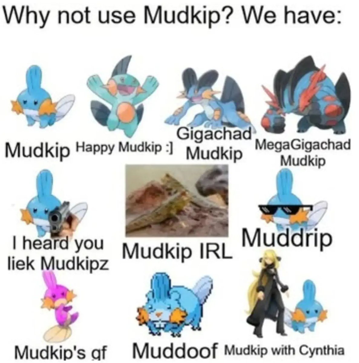 pokemon_daily's tweet photo. why not use Mudkip? https://t.co/N7ktSf9E0T