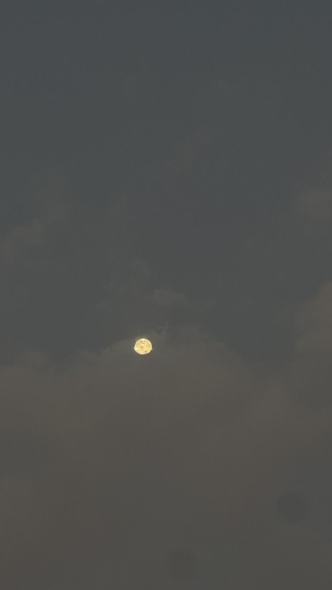 __OP9 tweet picture