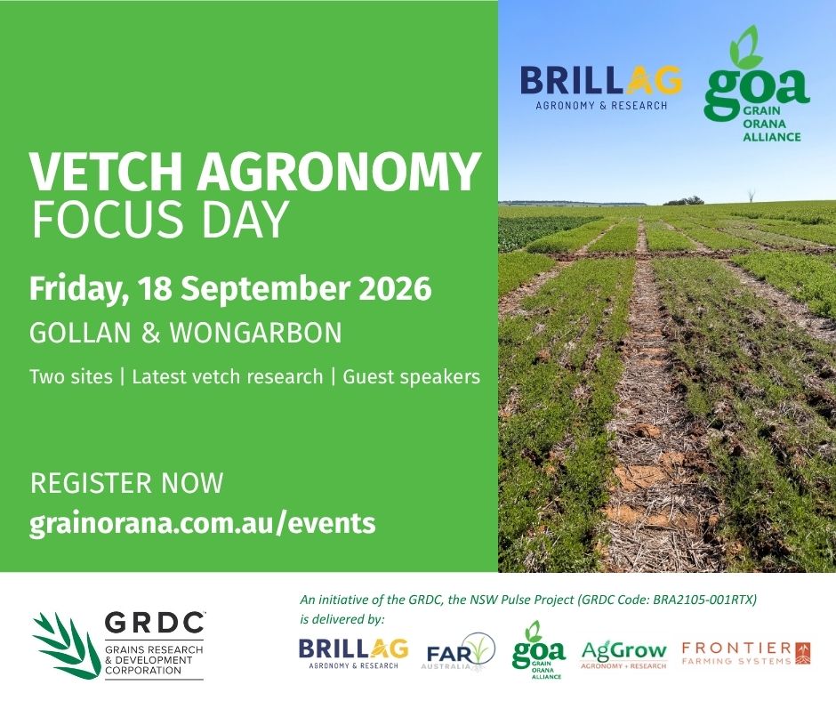 GrainOrana's tweet photo. 🌿VETCH AGRONOMY FOCUS DAY🌿

📅Fri 18 Sept, 8am-12:30pm.
🚜Binginbar Farms, Gollan.

🚜GOA vetch variety trial, Wongarbon.

Hear from Kirrily Condon, Kendra Kerrisk, Rohan Brill, Simpson family & the GOA team.

REGISTER & info▶️ https://t.co/DLrjqAqPys

@theGRDC @GRDCNorth #vetch