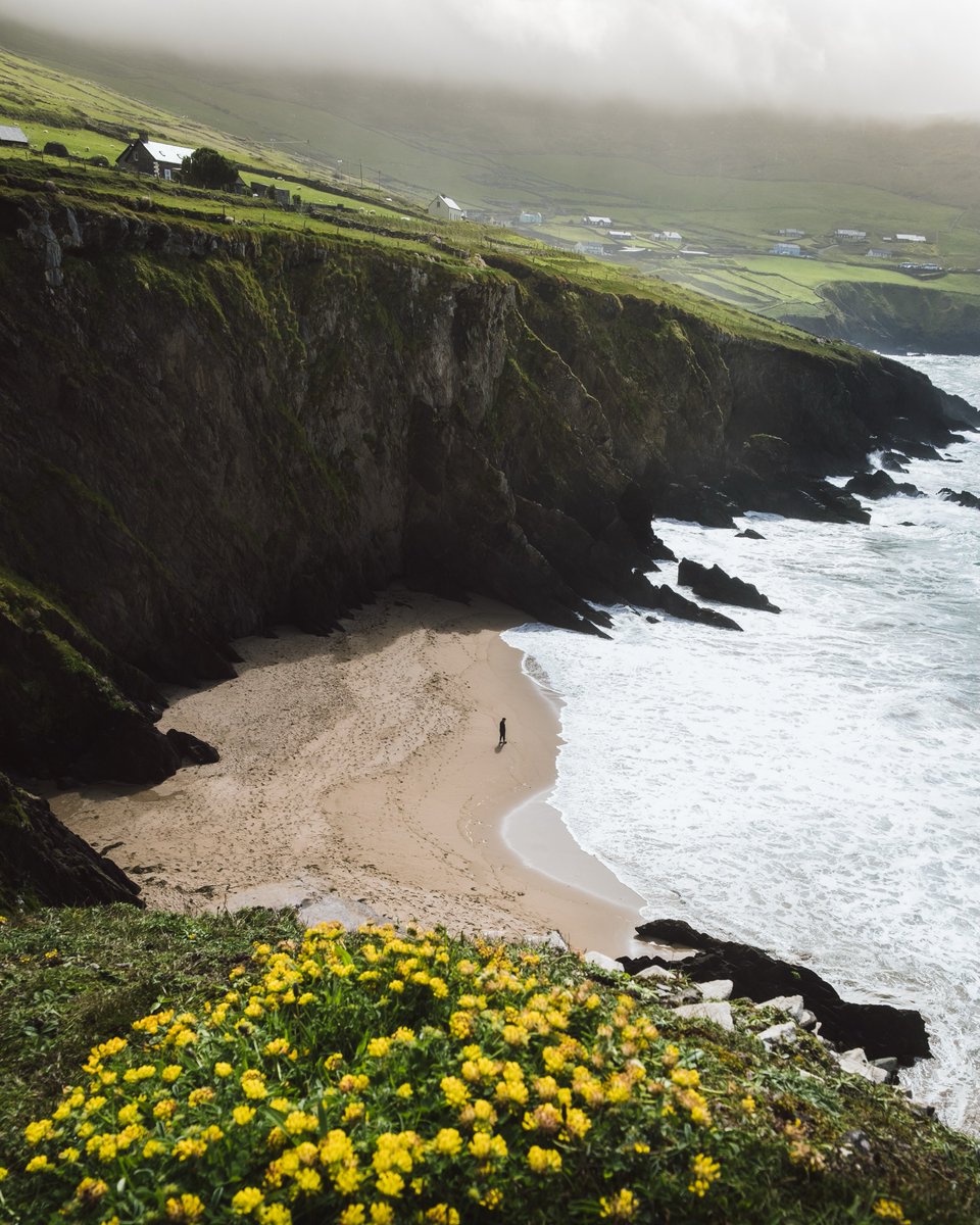 purelivn's tweet photo. Ireland https://t.co/oJaig5vWud