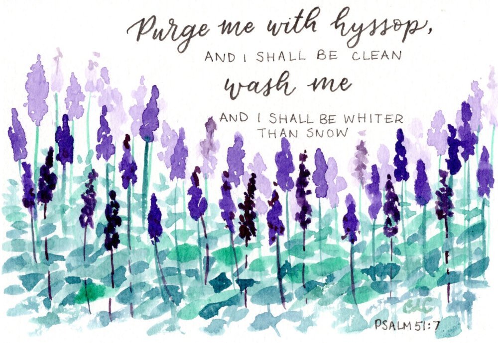 ElRoiShalom's tweet photo. #PsalmDelivery https://t.co/98Dm1cC6vT