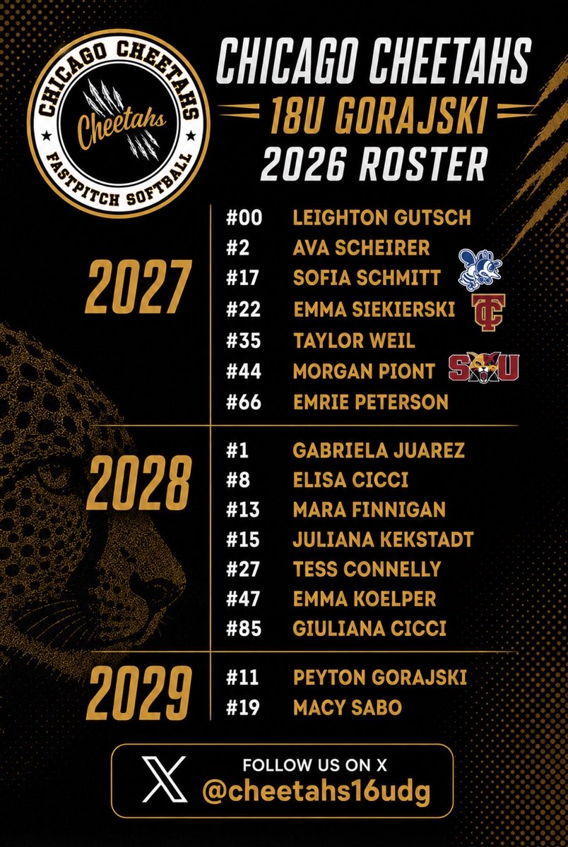 Cheetahs16uDG's tweet photo. Our 2026 roster is officially here! 🔥🥎

Let’s get after it! 💪 Time to work, compete, and make some noise. 👊
#Cheetahs https://t.co/mZvacF0XRv