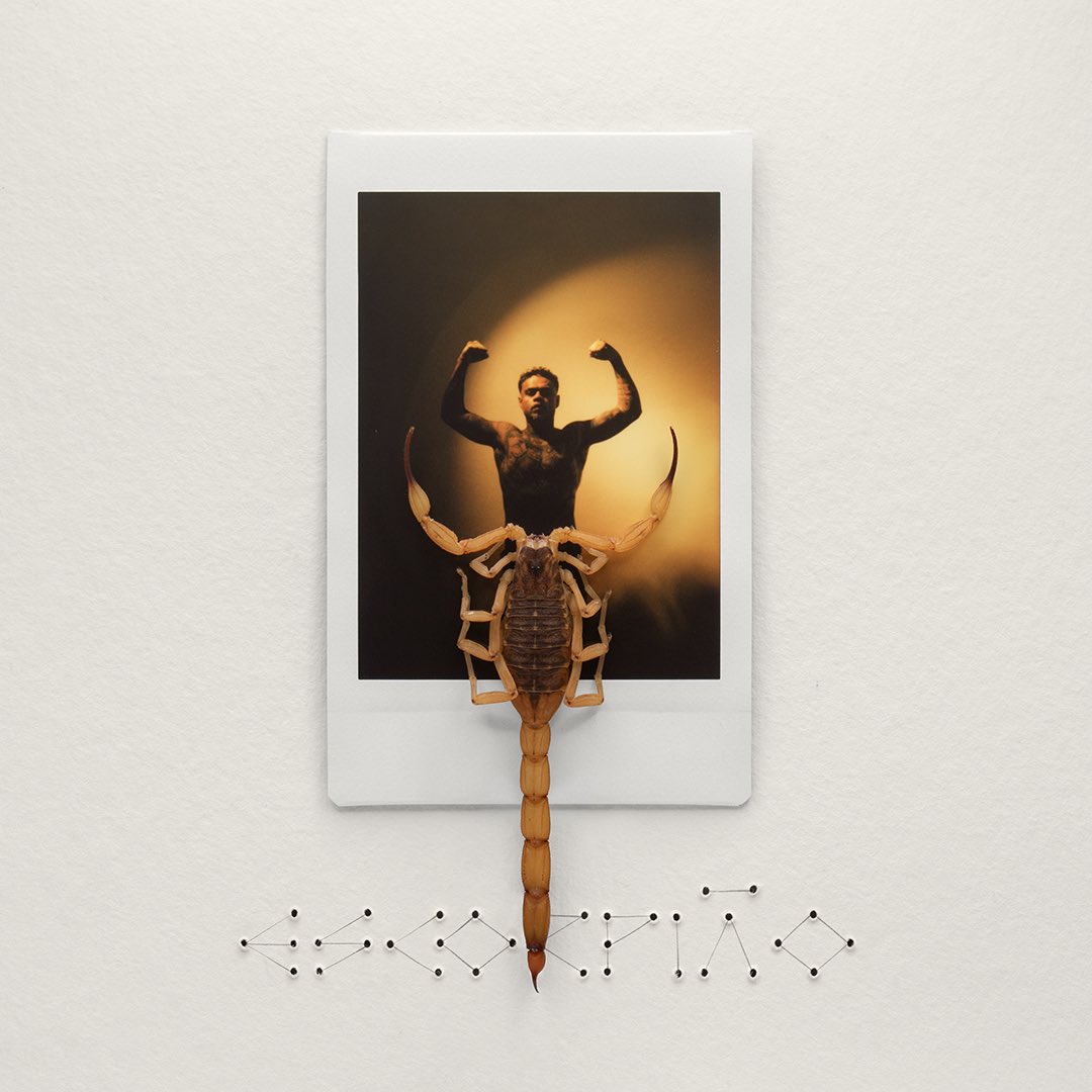 cabelinhomc's tweet photo. “ESCORPIÃO” 🦂🔥 MEU 6° ÁLBUM DE ESTÚDIO TÁ PRONTOOOO!!! SAI DIA 28 DE SETEMBRO!!!!!!!! AHHHHHHH 🦂🦂🦂🦂

não me vi lançando nenhum single/prévia pra vcs 🦂🦂🦂 achei que seria melhor entregar tudo de uma vez assim como foi o processo do disco e todo sentimento que coloquei, intenso mesmo.

TÁ CHEGANDO A HORA EU NEM SEI O QUE DIZER MAIS 😭😭😭 APRECIEM ESSA CAPA E CONTRA CAPA TO MTO ORGULHOSO DISSO, MUITO ORGULHOSO DAS MÚSICAS TBM.. EU AMO VCSSSS, AMO VCSS, AMO VCS!!! VAMO! 🦂😭✨