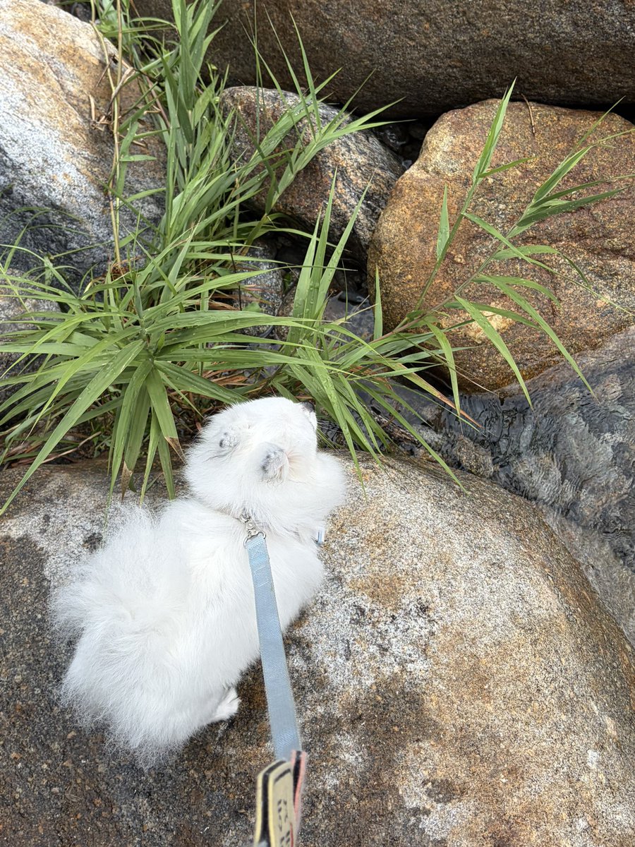 nomonkey0's tweet photo. 계곡갔을때 사진들 너무 기엽다 https://t.co/W2cNA96njl