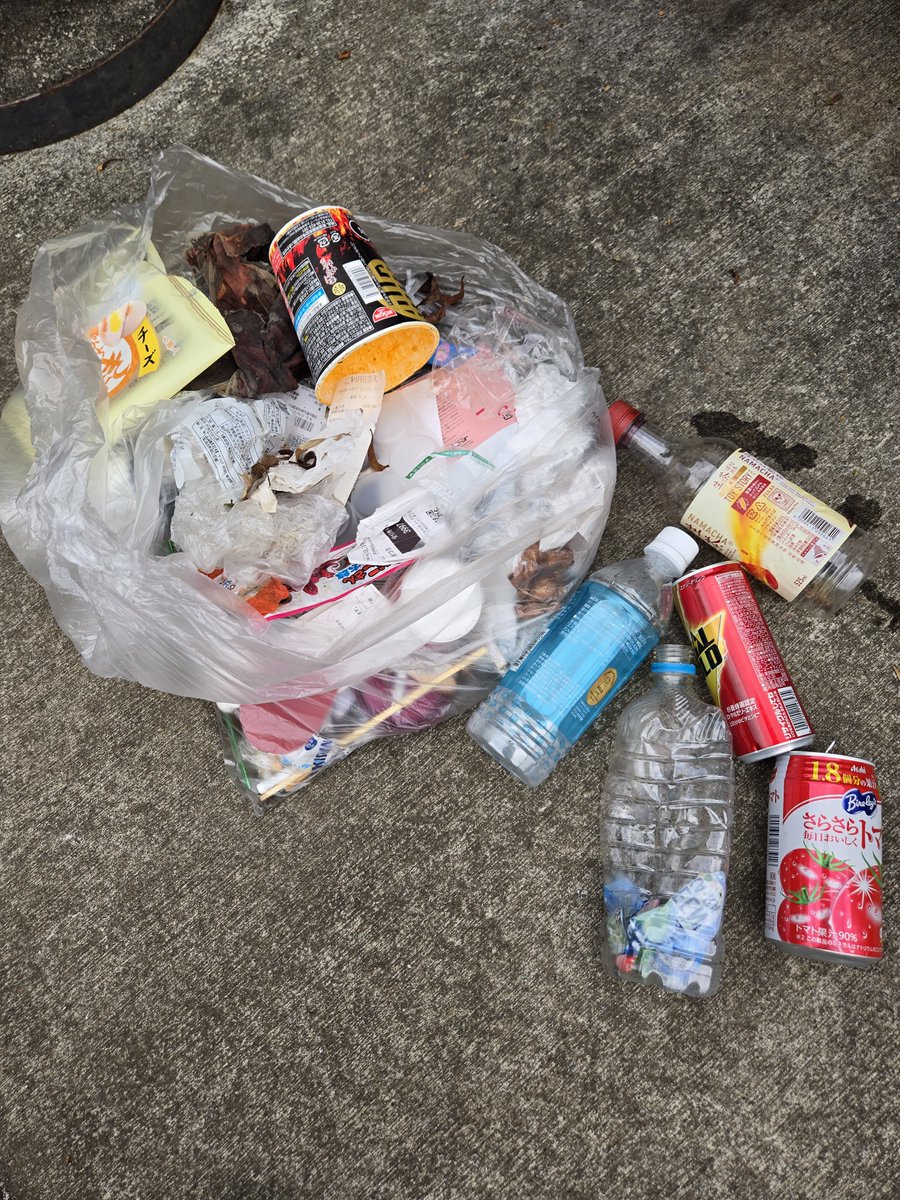 teruyooon's tweet photo. おはようございます👋😃☀️
お散歩🚶‍♀️ついでにゴミ拾い🗑️

歩きながら
もう少し年齢を重ねたら
神社や教会の
日々の清掃ボランティアをやってみようかな
と妄想…🤭

清浄さって
気持ち良いです⤴️⤴️⤴️

今日も良い1日を❣️

#ゴミ拾い
#気持ち良い
#清浄さ https://t.co/T6pIIRtrCv