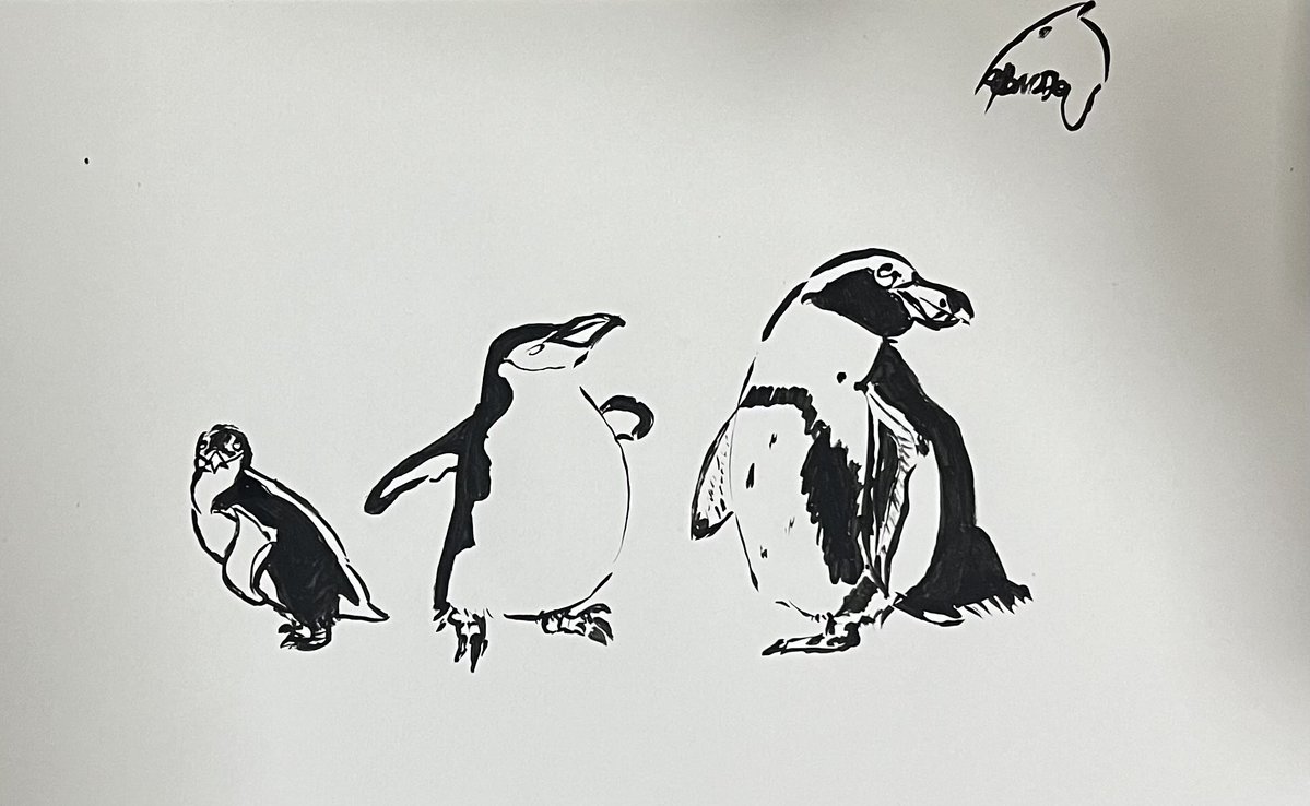 Afonsomano_'s tweet photo. @jikishxdow Pinguins!!! https://t.co/CuSVj0UZNC
