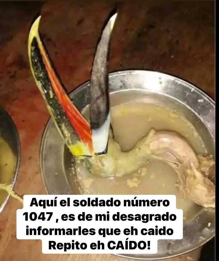 FanatorDealDoug's tweet photo. @oOoConservas Yo no apoyo al cabron de la imagen, por su pendejadota
Pero decir que le quiten el internet a los hombres es una generalización toda babosa tambien https://t.co/AsiV8VMbjJ