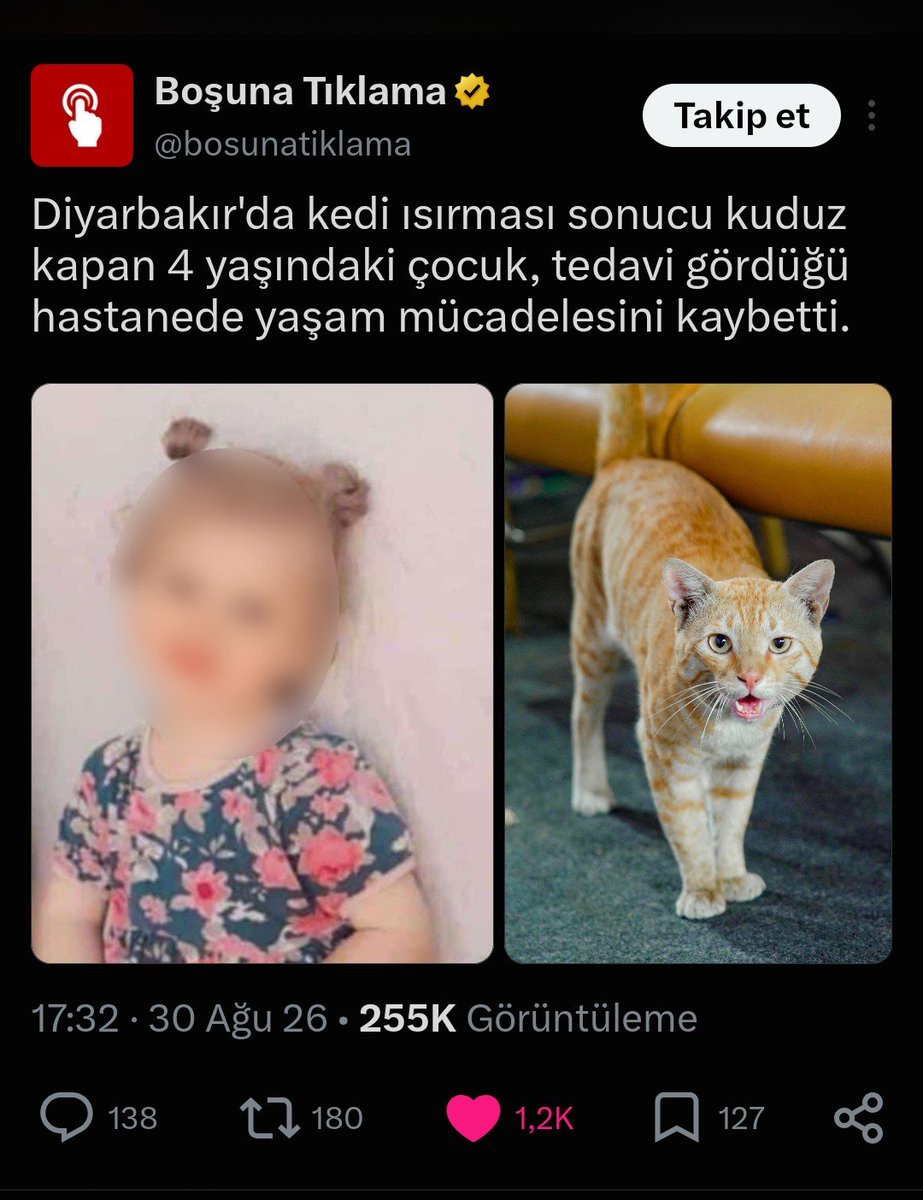 seda_su7's tweet photo. Daha 2 gün önce Diyarbakır’da 4 yaşındaki bir çocuk, kedi ısırması sonrası kuduz nedeniyle hayatını kaybetti.

Ama siz hâlâ sokakta doğum yapan kediyi alıp sınıfa sokmayı,çocuklarla iç içe yaşamalarını “ne güzel, sınıfın maskotu oldu” diye romantikleştirmeyi marifet sanıyorsunuz.

Hayvan sevgisi başka, çocukların sağlığını ve güvenliğini riske atmak başka. Biraz gerçek hayatla tanışın.