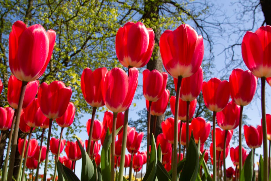 AleneLaymak1's tweet photo. بالتأكيد عملك سوف بالتأكيد سيتم مكافأة الشاق. عملك يؤدي إلى النجاح. madeline nocar https://t.co/fJel2Jx4NB