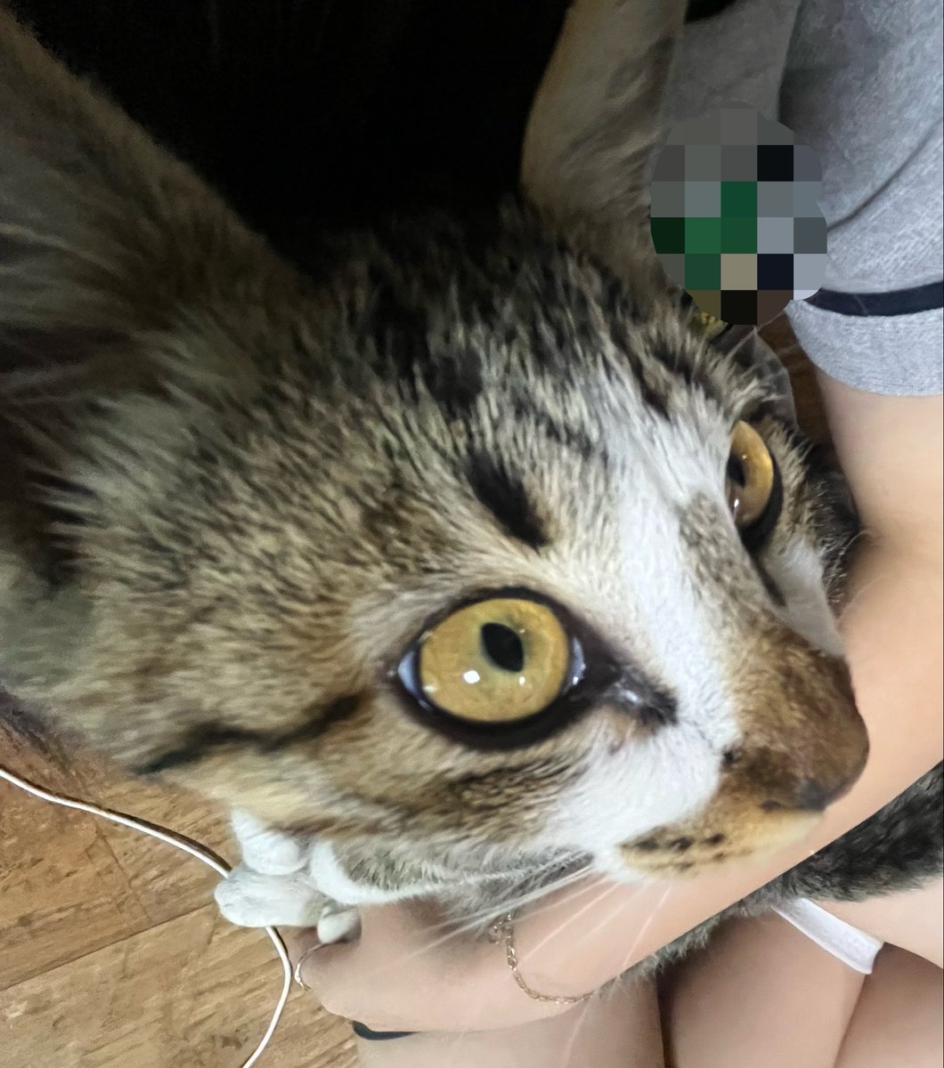 mato9819's tweet photo. 구라같은데✨ https://t.co/Q5vYrX1rFg