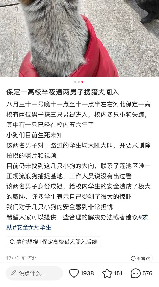 whyyoutouzhele's tweet photo. 8月31日，河北保定，华北电力大学校园内，有学生发现两名男子深夜携带大型猎犬进入校园捕杀流浪动物，现场传出阵阵惨叫声。
有网友称，校园内有多只长期生活的流浪狗，其中包括一只已经在校园生活多年的小狗，目前都去向不明。
另有网友称，现场人员曾并对拍摄的学生进行辱骂、威胁，要求删除照片和视频。