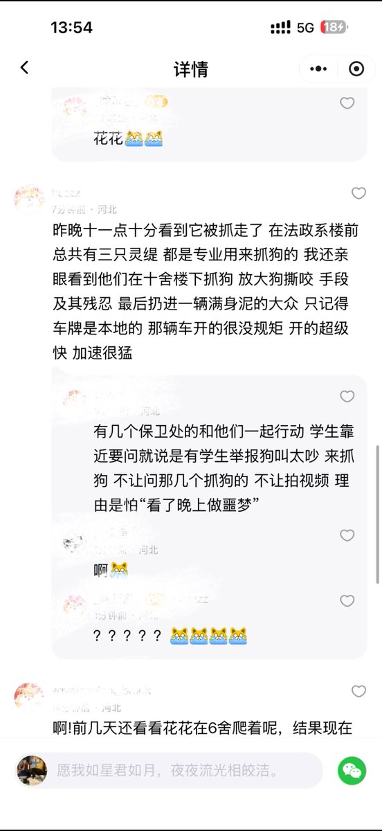 whyyoutouzhele's tweet photo. 8月31日，河北保定，华北电力大学校园内，有学生发现两名男子深夜携带大型猎犬进入校园捕杀流浪动物，现场传出阵阵惨叫声。
有网友称，校园内有多只长期生活的流浪狗，其中包括一只已经在校园生活多年的小狗，目前都去向不明。
另有网友称，现场人员曾并对拍摄的学生进行辱骂、威胁，要求删除照片和视频。