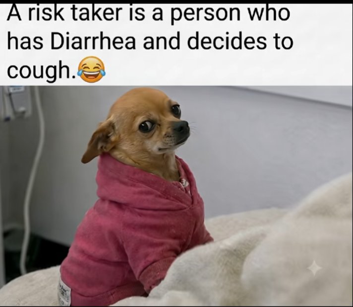 EvansJose256's tweet photo. The real definition of risk taker 😂 https://t.co/gATzzugwk1