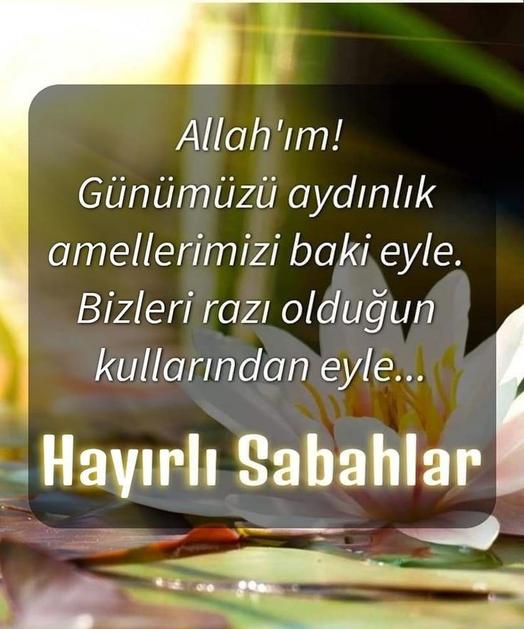 Zirzi3's tweet photo. @MeralTok Hayırlı sabahlar canım benim herşey gönlünce olsun inşallah Amin 🤲 https://t.co/tB5mBtHgwT