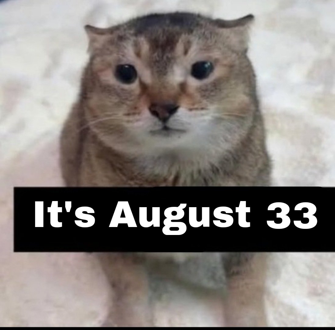 the47cat's tweet photo. https://t.co/ZDI2bR0sNr