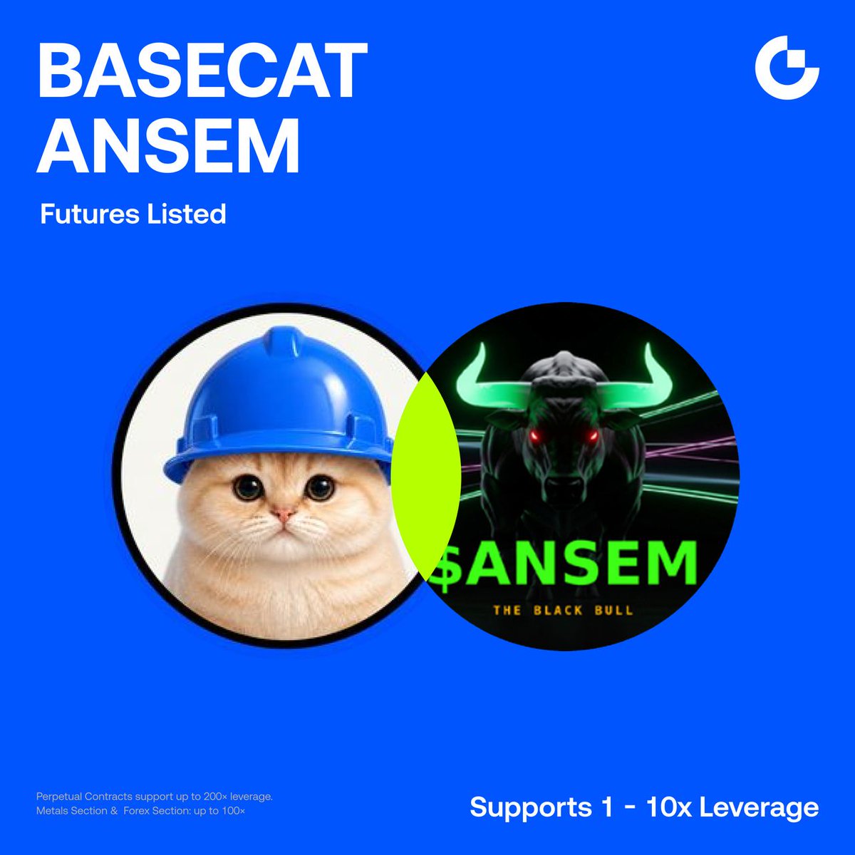 BasecatOnBase tweet picture